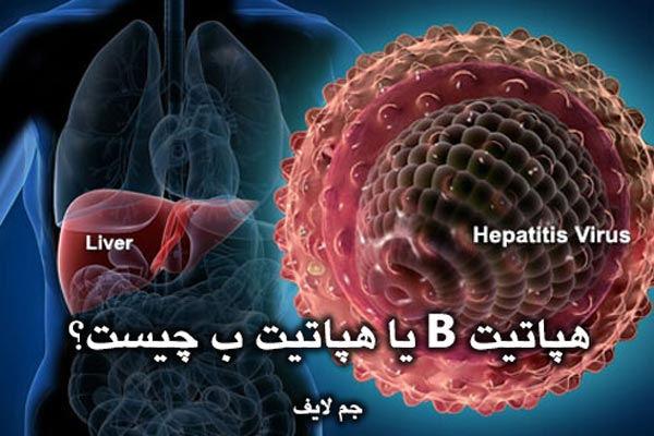 هپاتیت B یا هپاتیت ب چیست