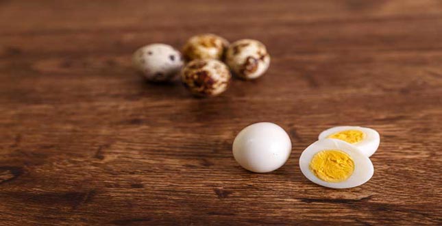 مضرات و خواص تخم بلدرچین برای کودکان